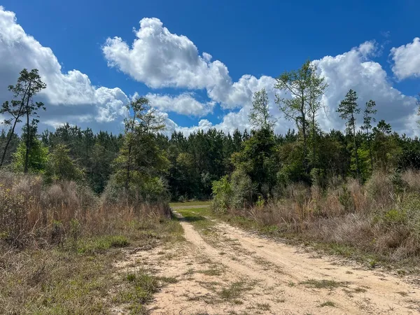 $198,850 | 1 Fm 2827, Warren, TX 77664