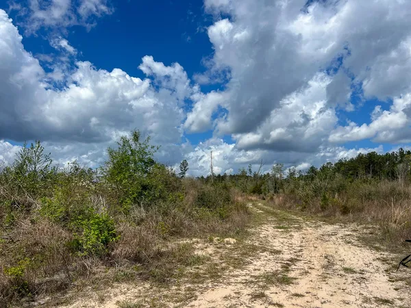 $198,850 | 1 Fm 2827, Warren, TX 77664