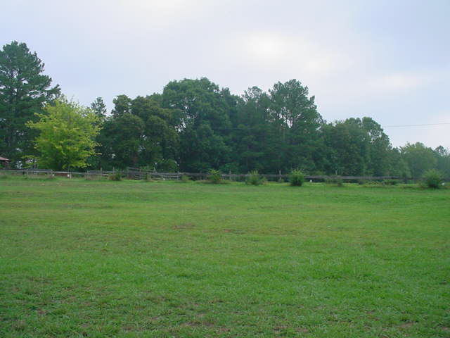 233 Wiseman Road Northeast Kingston, GA 30145 - Photo 1 of 1 a backyard of a house with lots of green space and trees