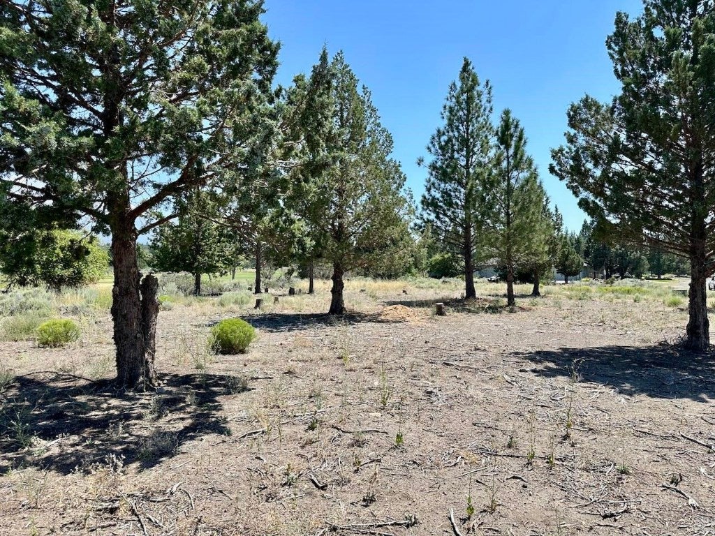 Lot 259 Lot Road Weed, CA 96094 - Photo 6 of 12 Gallery Image 6