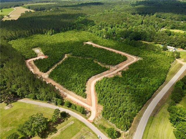2 436th Highway Angie, LA 70426 - Photo 2 of 19