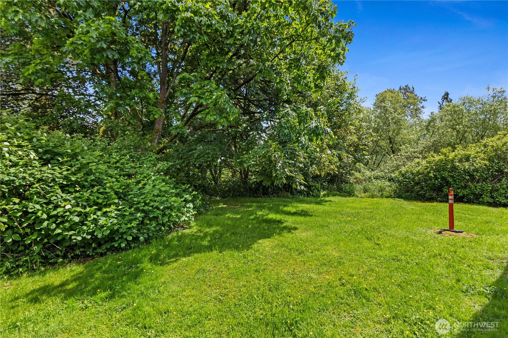 2312 Jade Avenue Everett, WA 98201 - Photo 24 of 34 a green field with lots of bushes