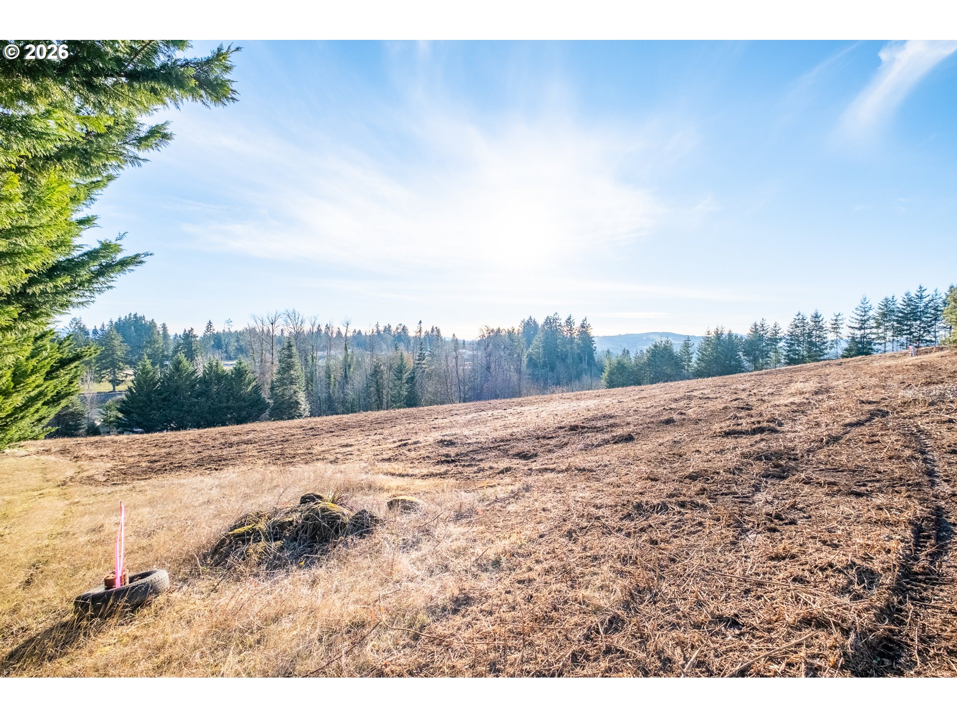 0 Tl 207) Ridgeview Lane Sweet Home, OR 97386 - Photo 11 of 16