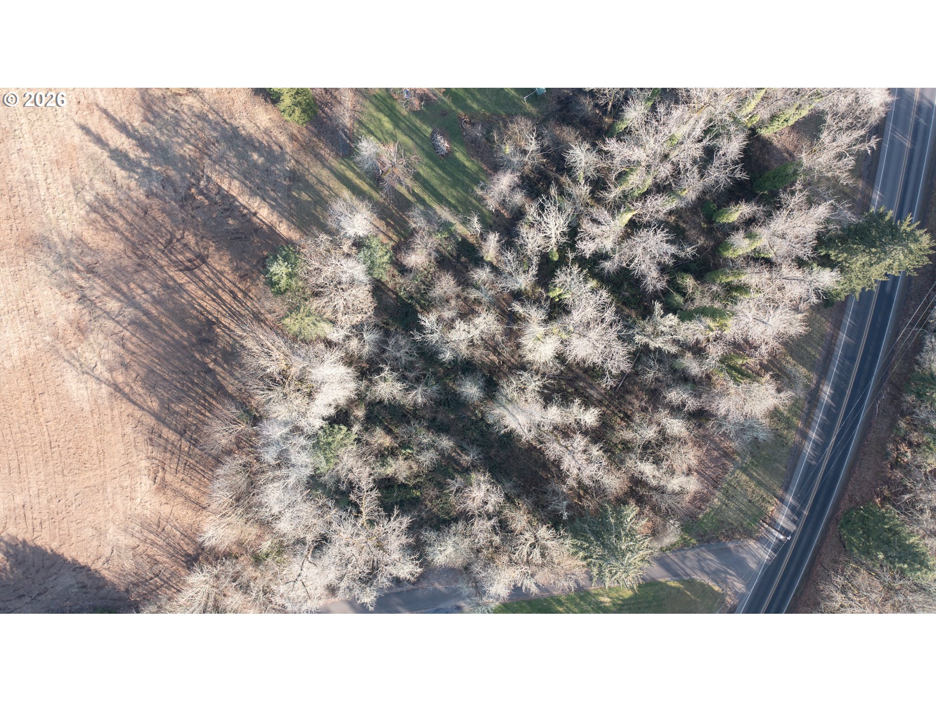 0 Tl 207) Ridgeview Lane Sweet Home, OR 97386 - Photo 7 of 16