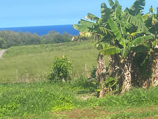 $699,000 | 53-4255 Akoni Pule Highway, Kapaau, HI 96755