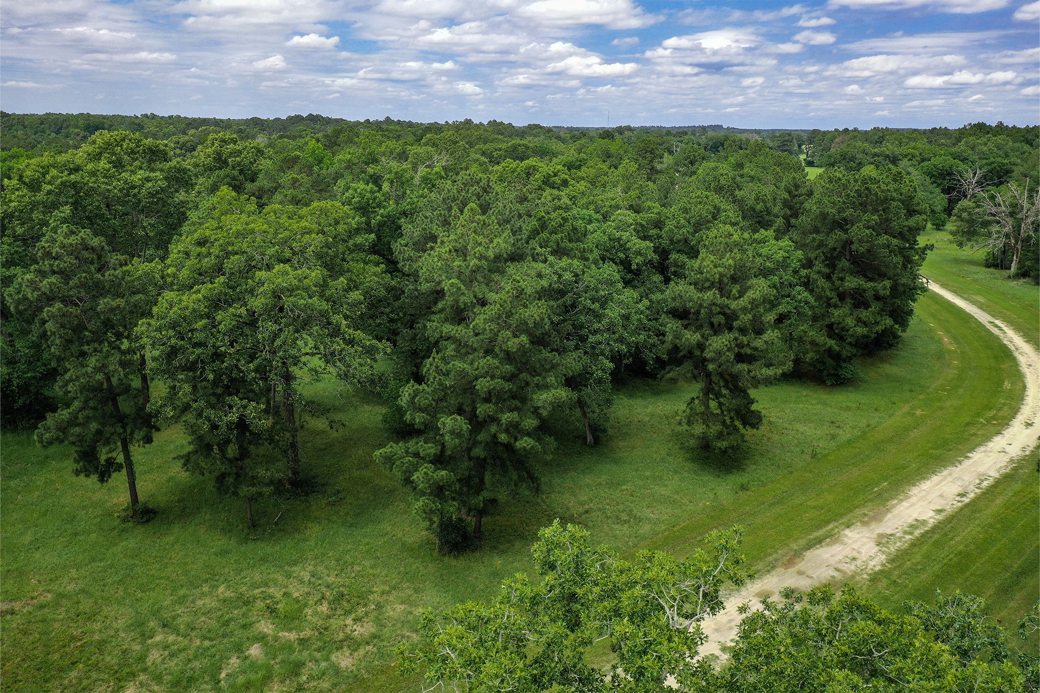 .5-acres Colomb Street Trinity, TX 75862 - Photo 3 of 9