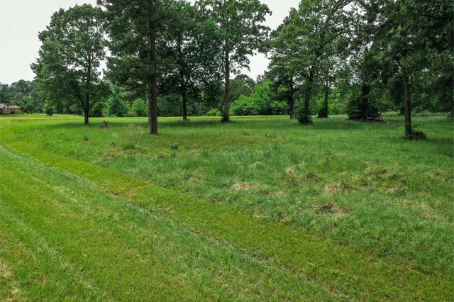 a view of a grassy field with trees