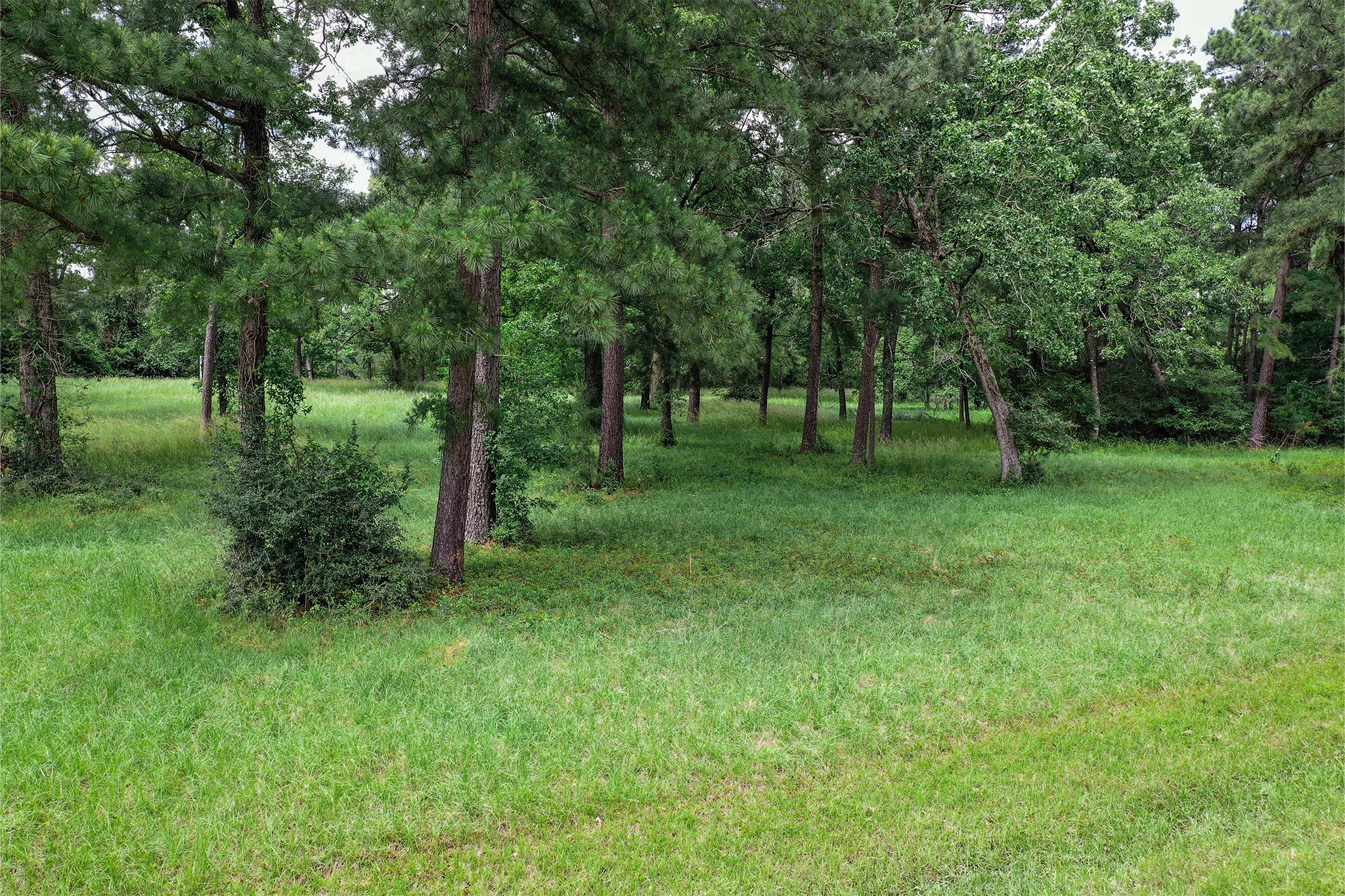 .5-acres Colomb Street Trinity, TX 75862 - Photo 5 of 9