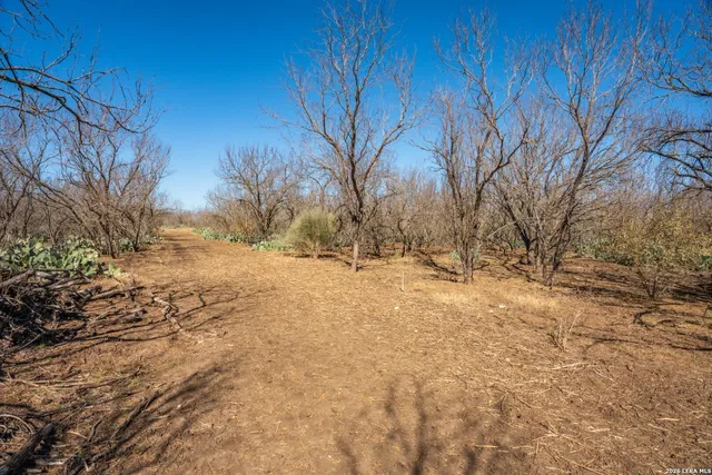 $359,000 | 224 County Road 662, Devine, TX 78016