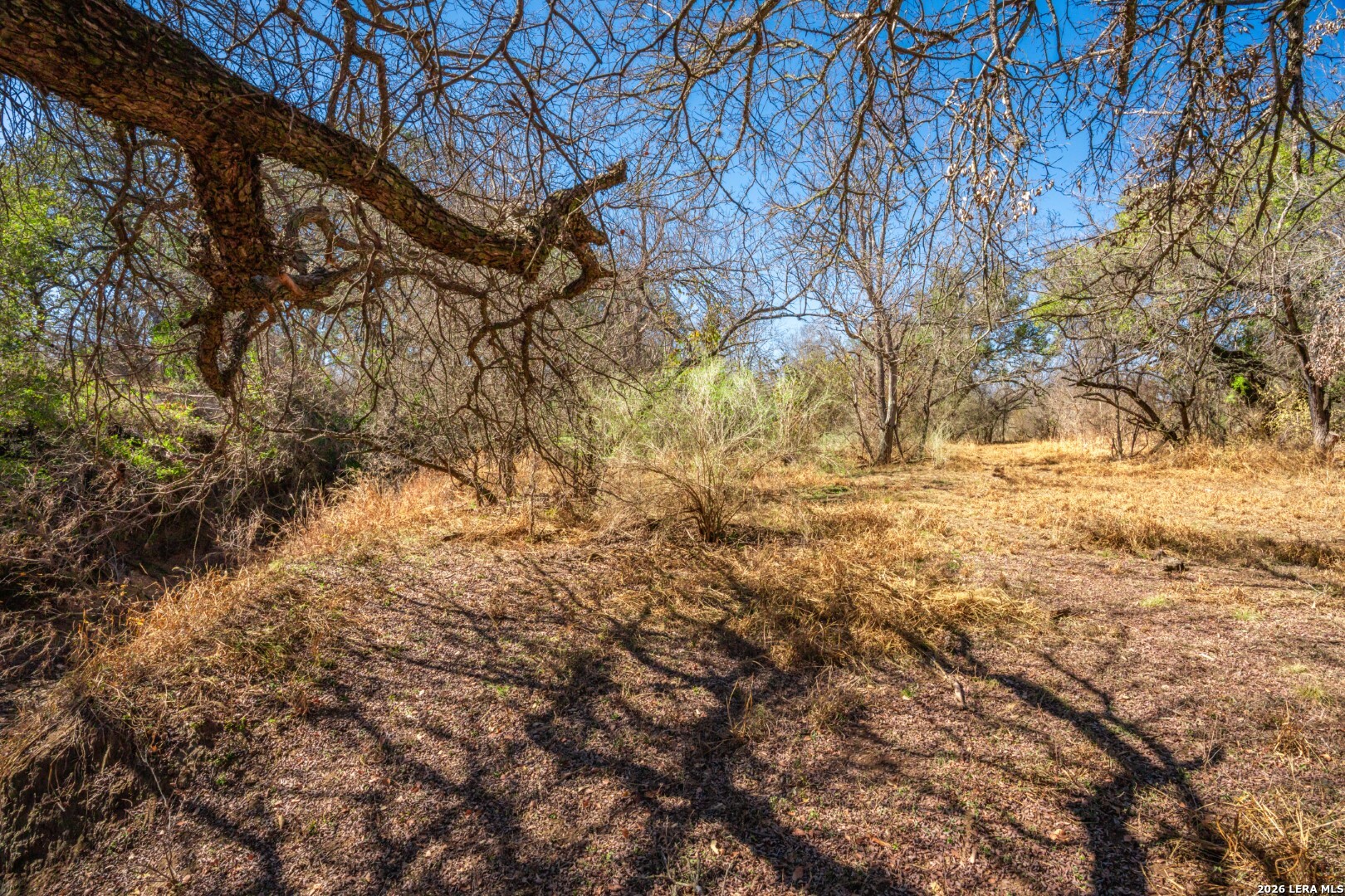 224 County Road 662 Devine, TX 78016 - Photo 18 of 32