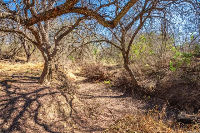 $359,000 | 224 County Road 662, Devine, TX 78016