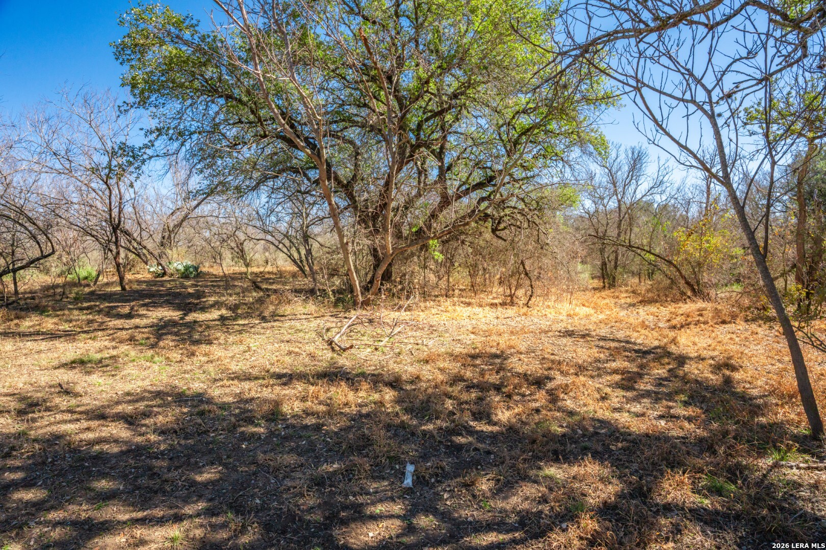 224 County Road 662 Devine, TX 78016 - Photo 21 of 32