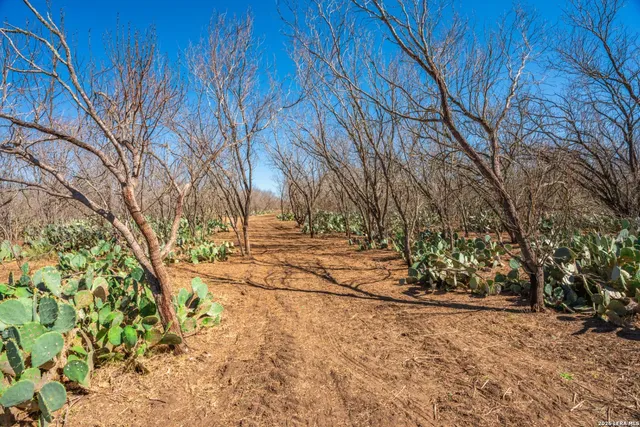 $359,000 | 224 County Road 662, Devine, TX 78016