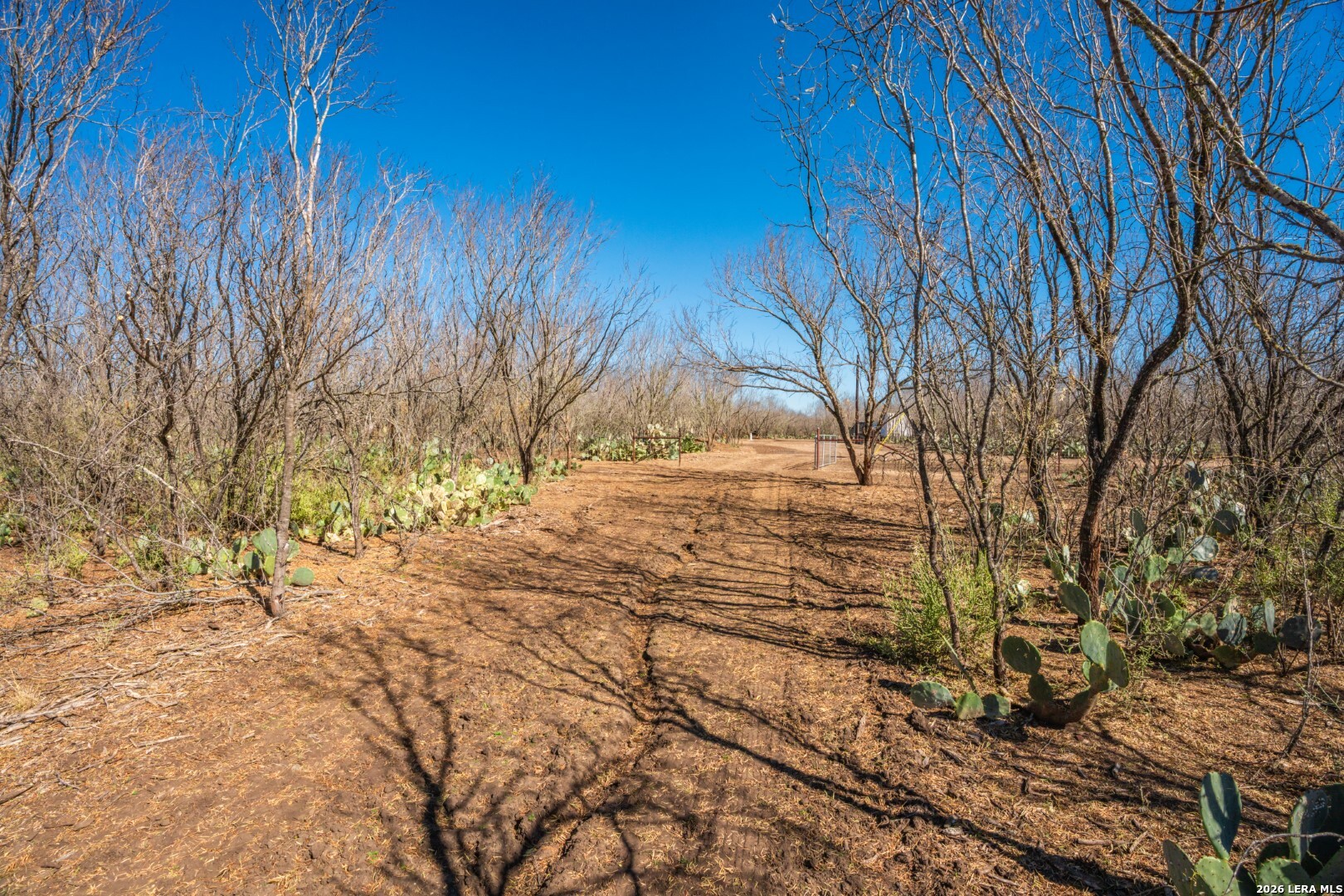 224 County Road 662 Devine, TX 78016 - Photo 24 of 32