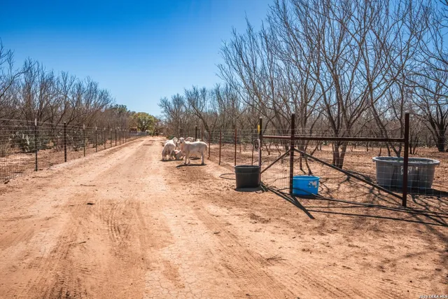 $359,000 | 224 County Road 662, Devine, TX 78016