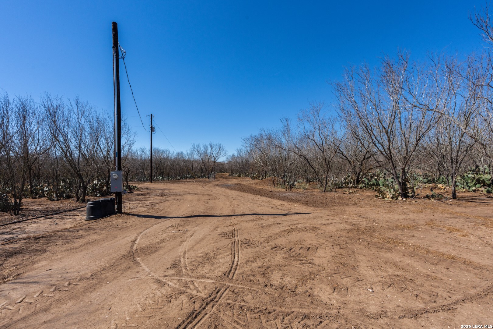 224 County Road 662 Devine, TX 78016 - Photo 5 of 32