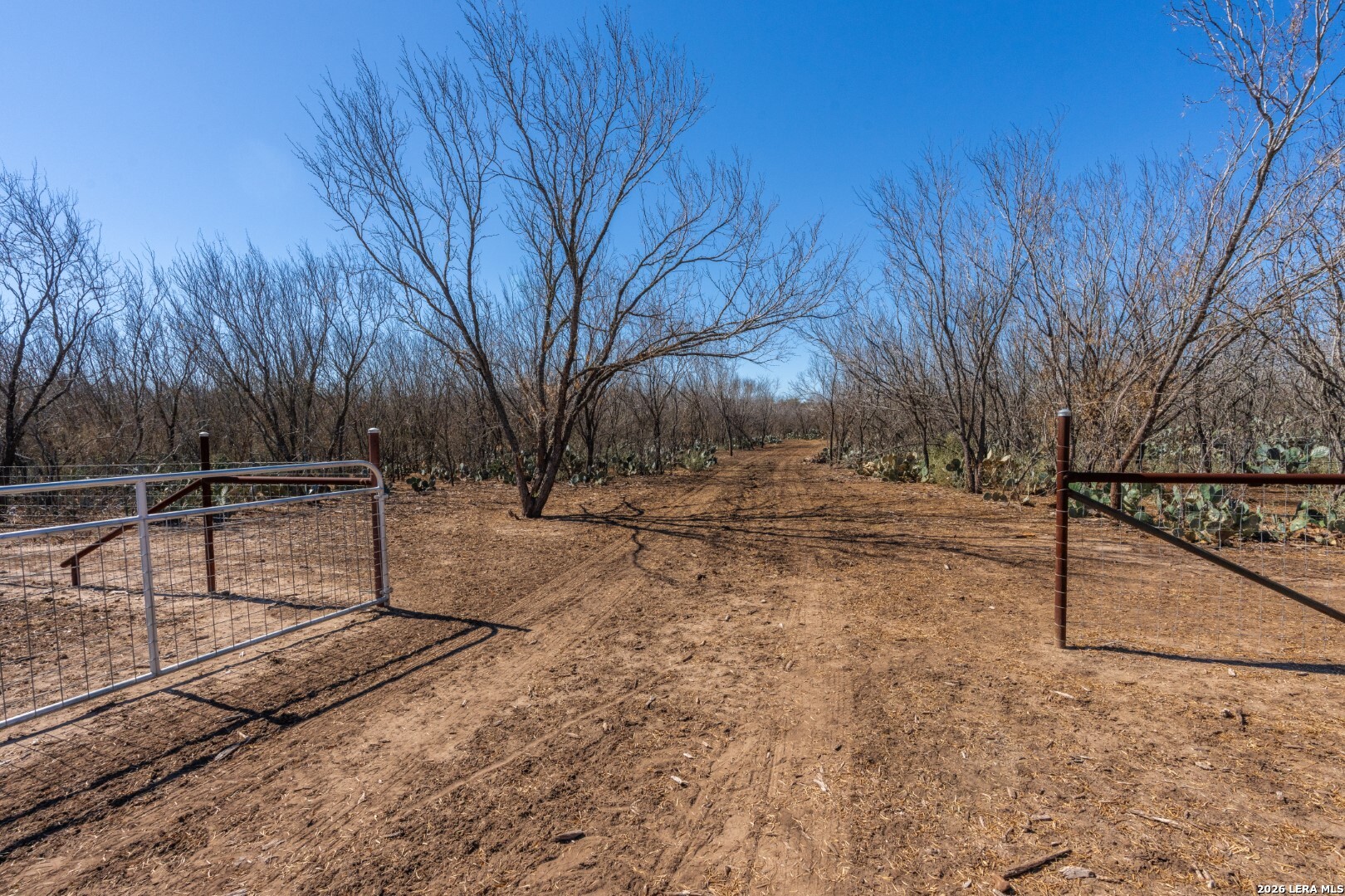 224 County Road 662 Devine, TX 78016 - Photo 6 of 32