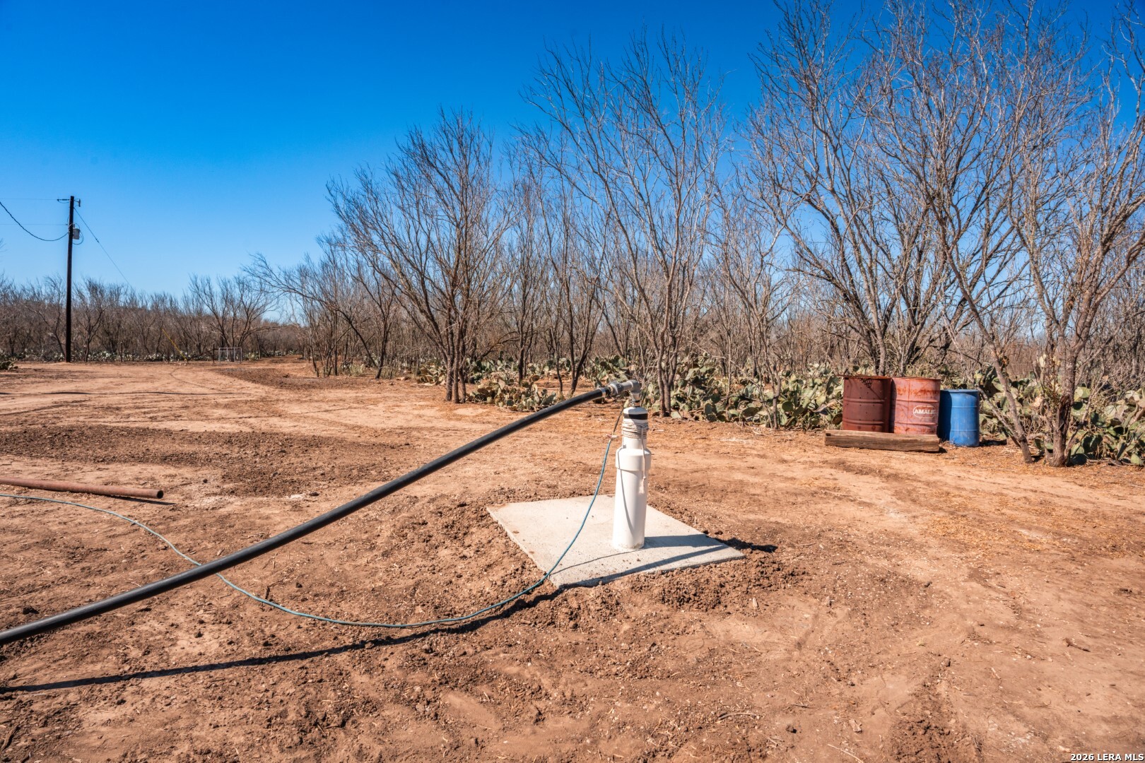 224 County Road 662 Devine, TX 78016 - Photo 9 of 32