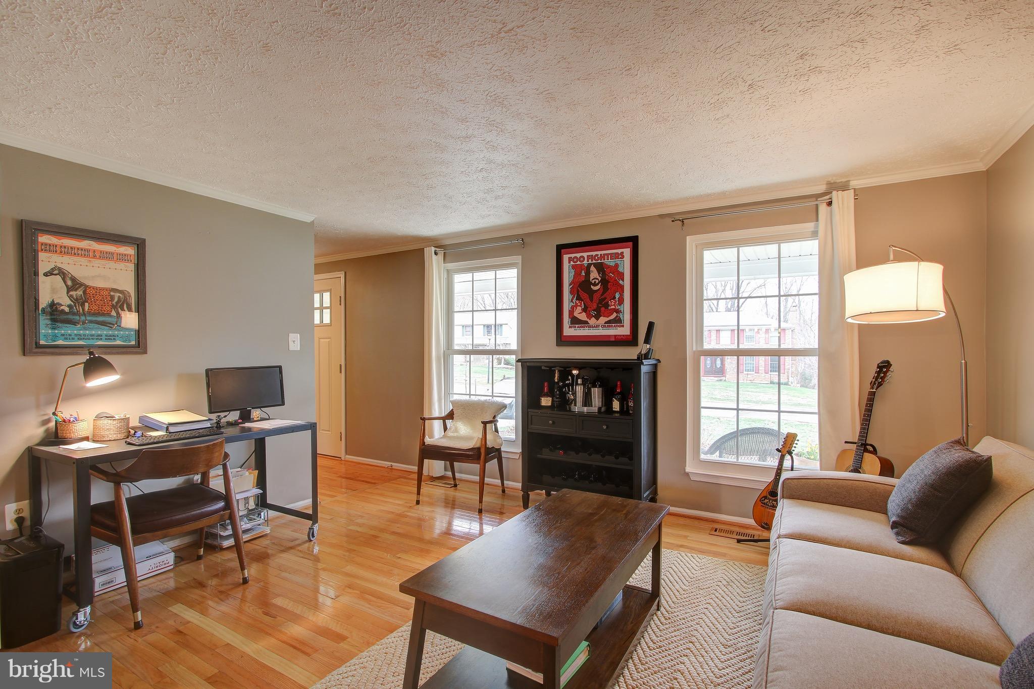 Living Room with Lots of Natural Light