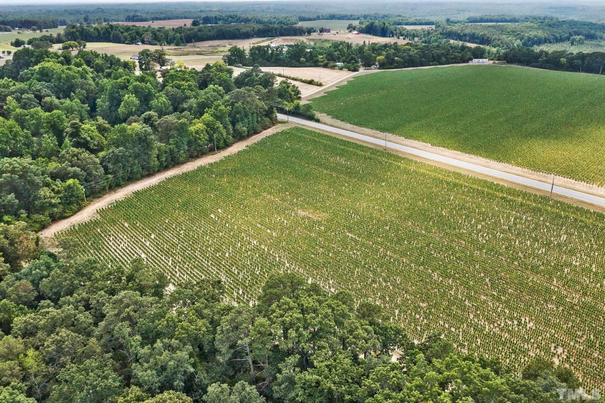 Lot #4 Raven Rock Road Lillington, NC 27546 - Photo 2 of 12 Gallery Image 2