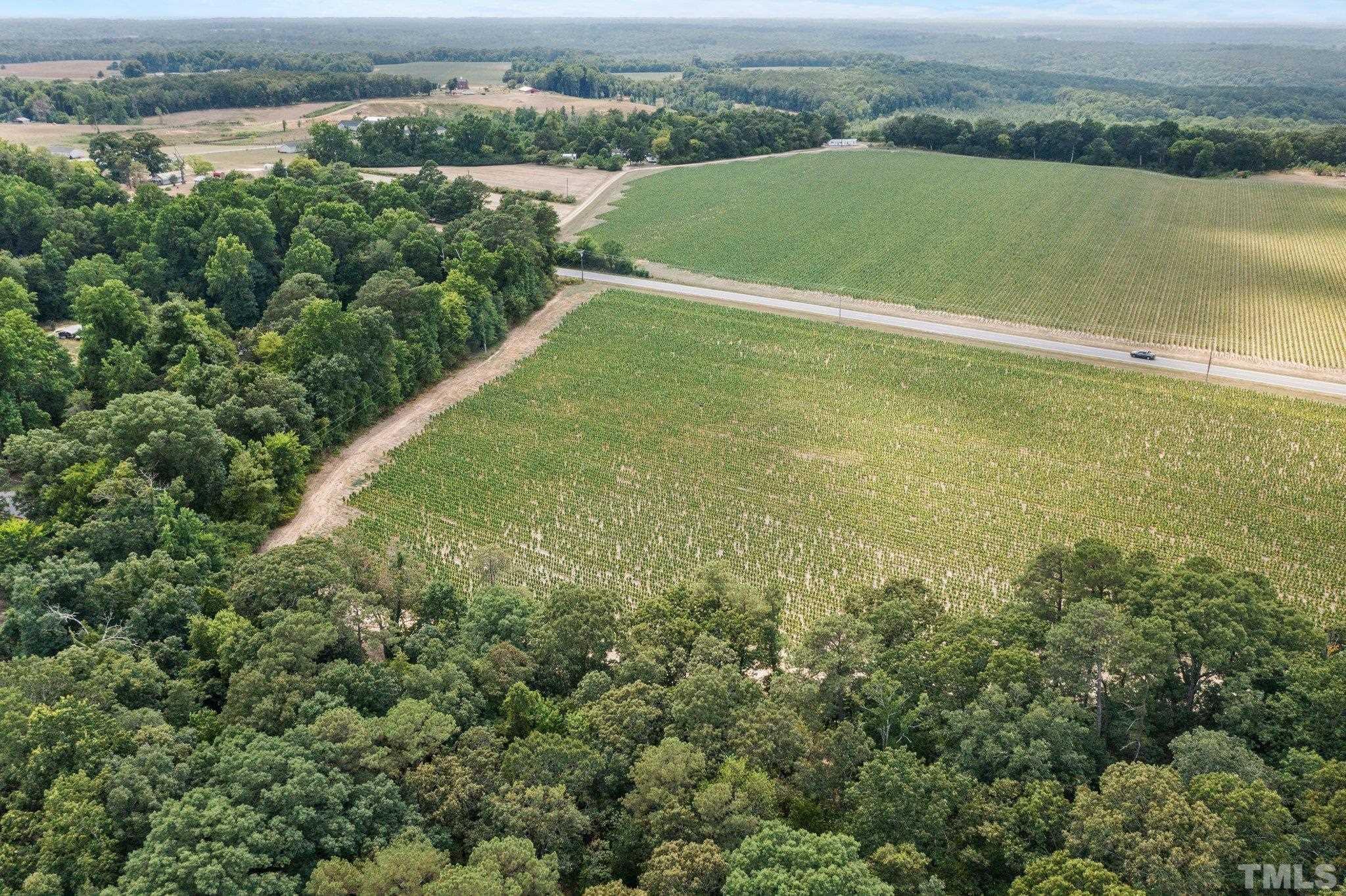 Lot #4 Raven Rock Road Lillington, NC 27546 - Photo 3 of 12 Gallery Image 3