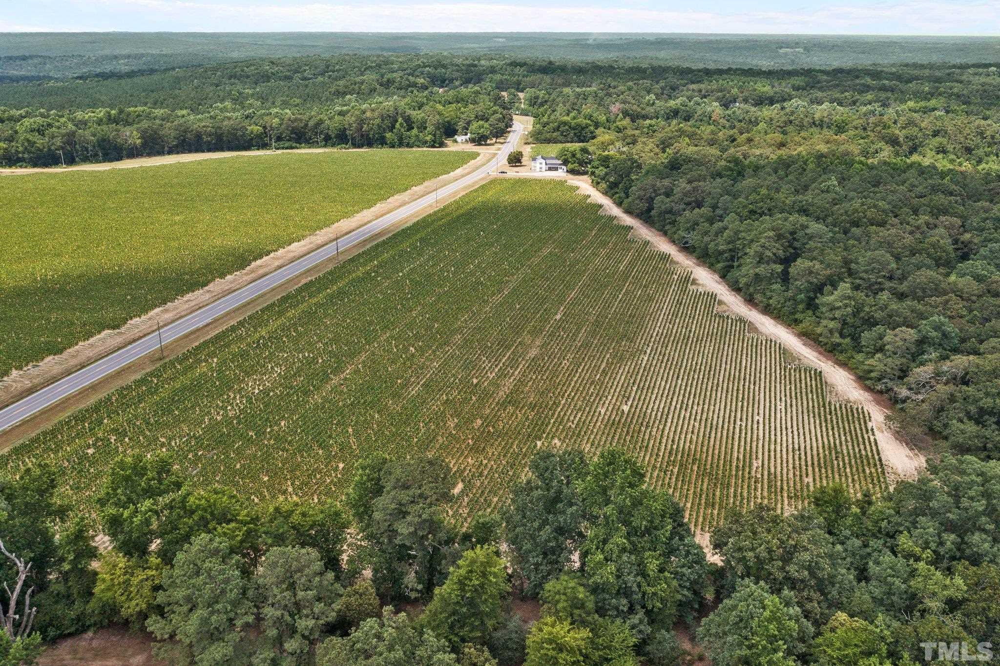 Lot #4 Raven Rock Road Lillington, NC 27546 - Photo 4 of 12 Gallery Image 4