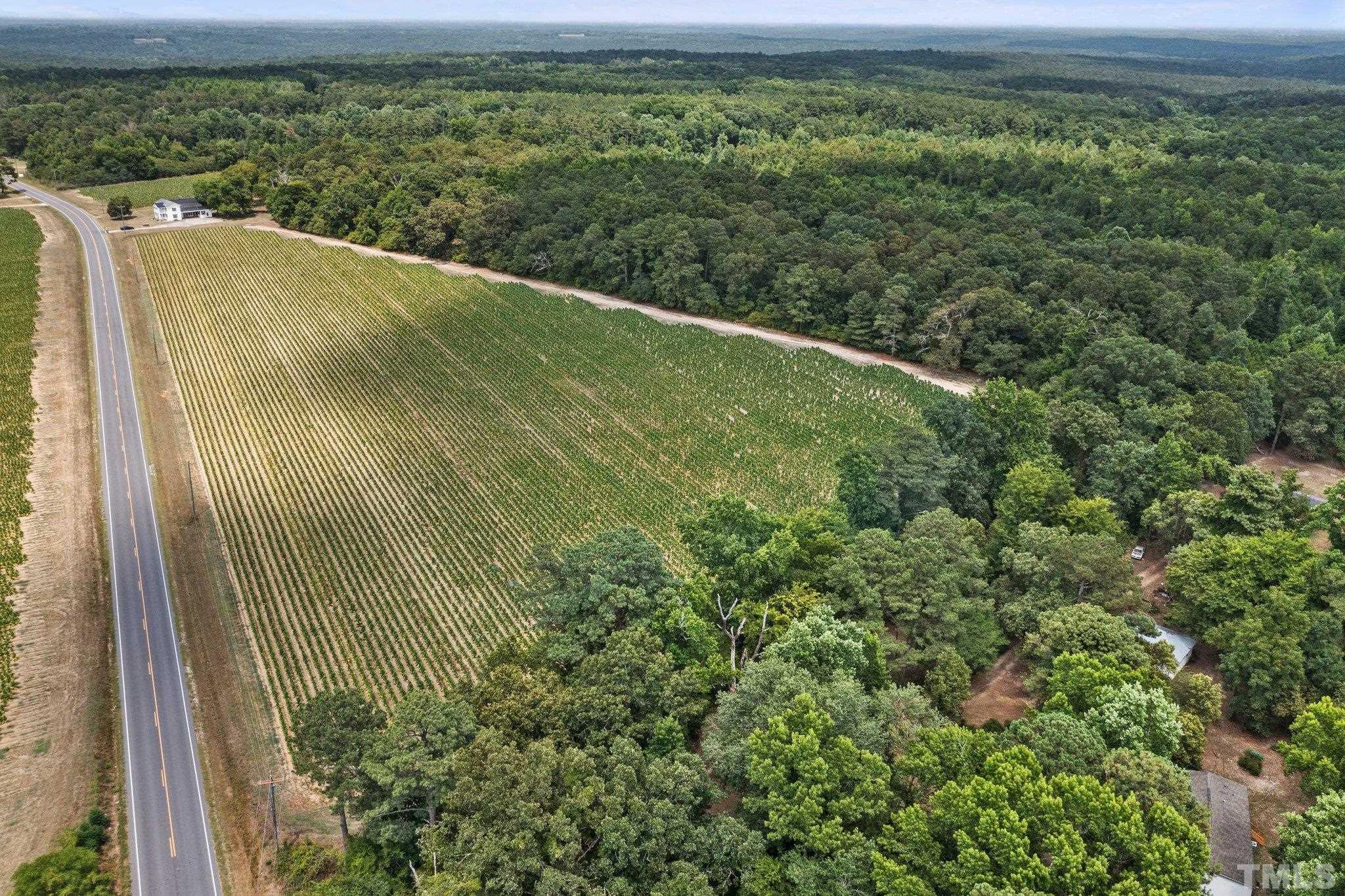 Lot #4 Raven Rock Road Lillington, NC 27546 - Photo 5 of 12 Gallery Image 5