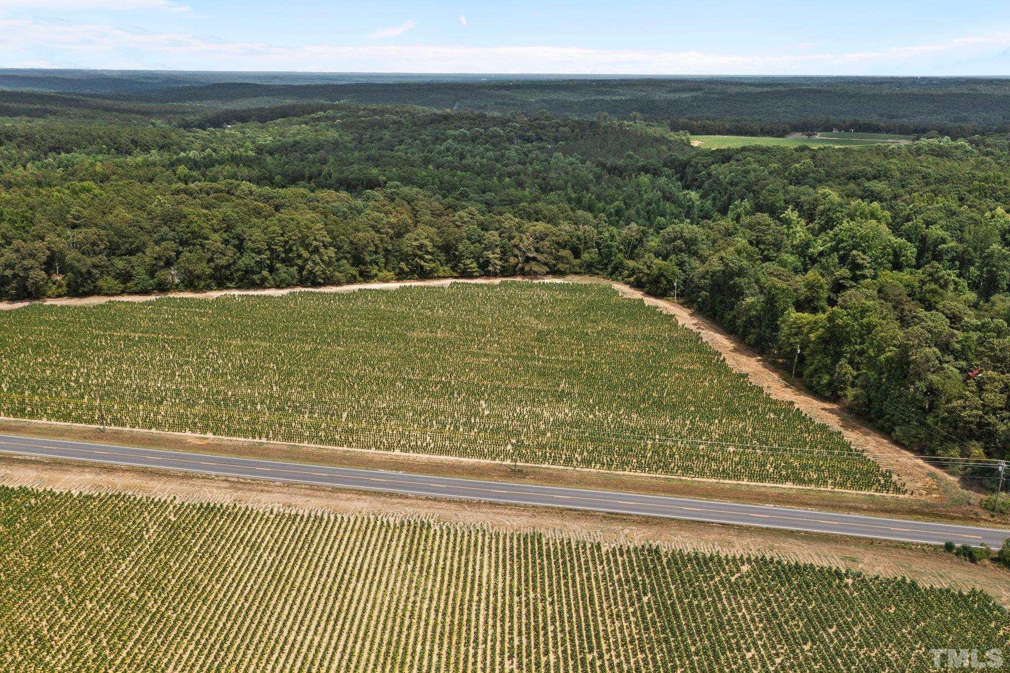 Lot #4 Raven Rock Road Lillington, NC 27546 - Photo 7 of 12 Gallery Image 7
