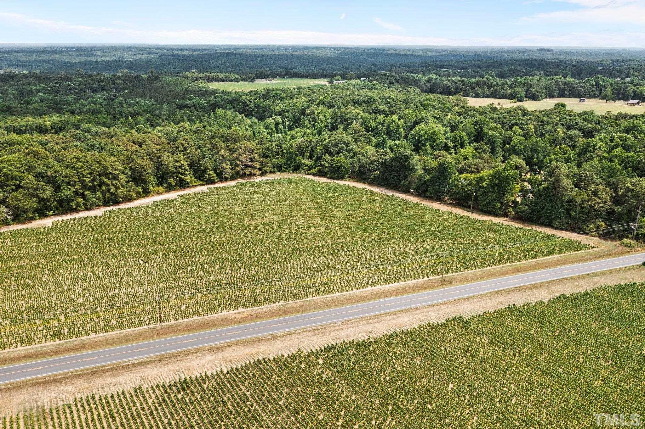Lot #4 Raven Rock Road Lillington, NC 27546 - Photo 8 of 12 Gallery Image 8