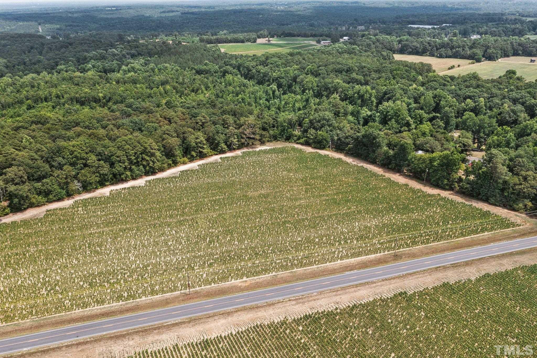 Lot #4 Raven Rock Road Lillington, NC 27546 - Photo 9 of 12 Gallery Image 9