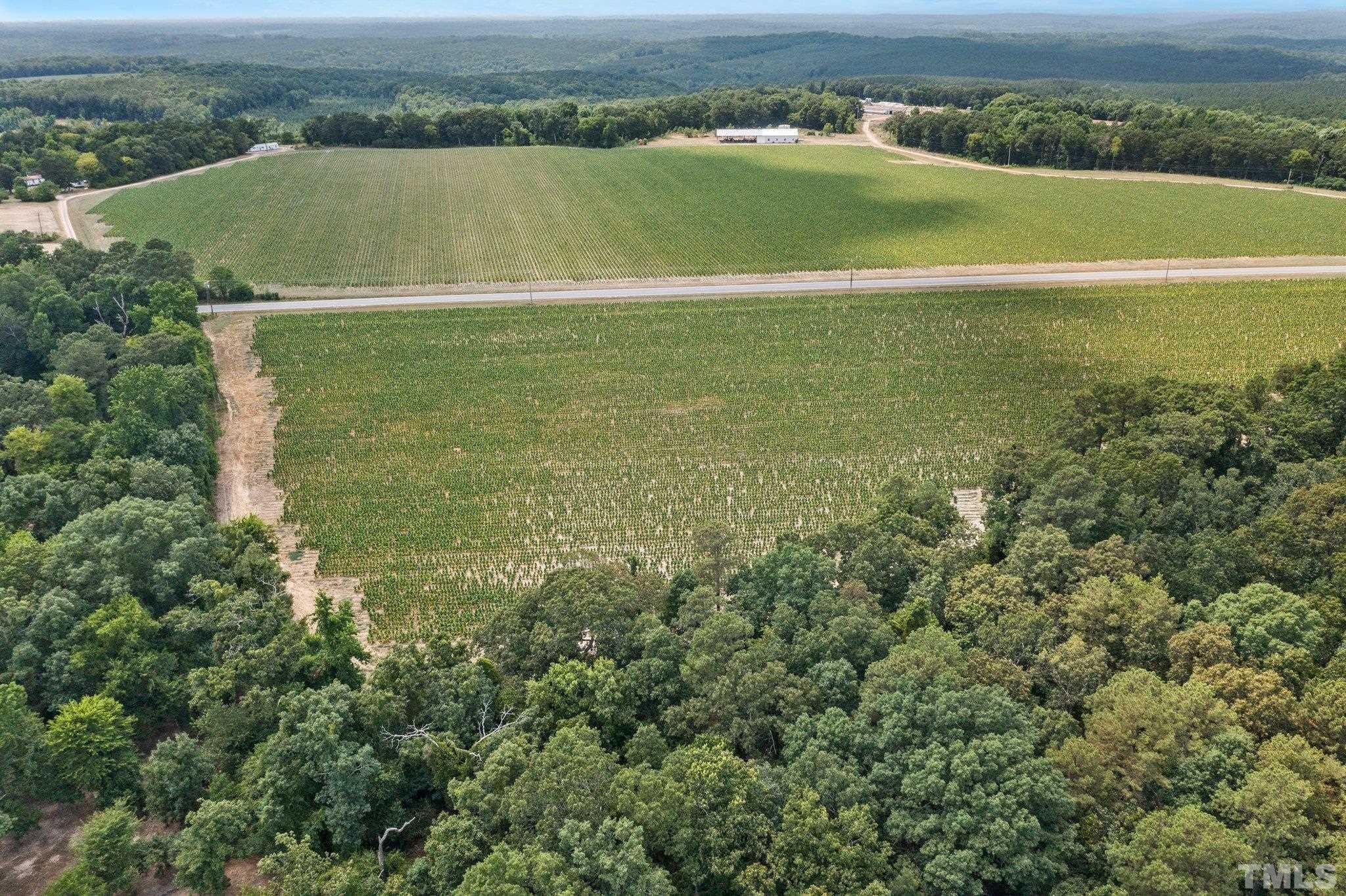 Lot #4 Raven Rock Road Lillington, NC 27546 - Photo 10 of 12 Gallery Image 10