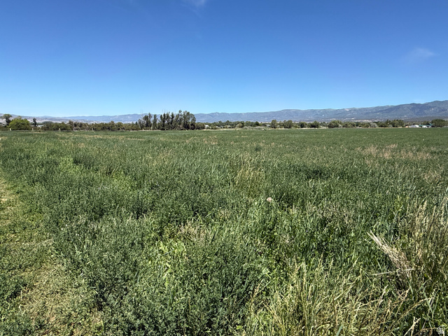 2 1100th South Spring City, UT 84662 - Photo 7 of 9 Expansive open acreage featuring vibrant green vegetation, distant mountain ranges, and a clear blue sky