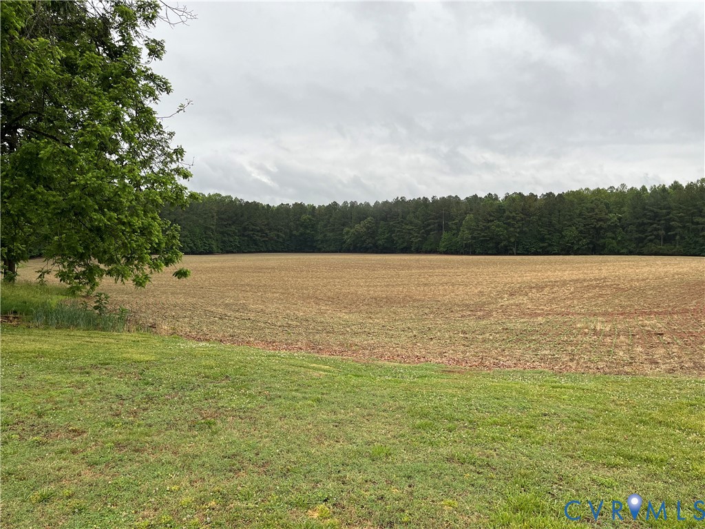 14110 Browns Road Church Road, VA 23833 - Photo 9 of 13 Gallery Image 9