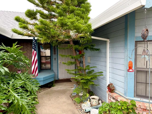a plant is in front of a house