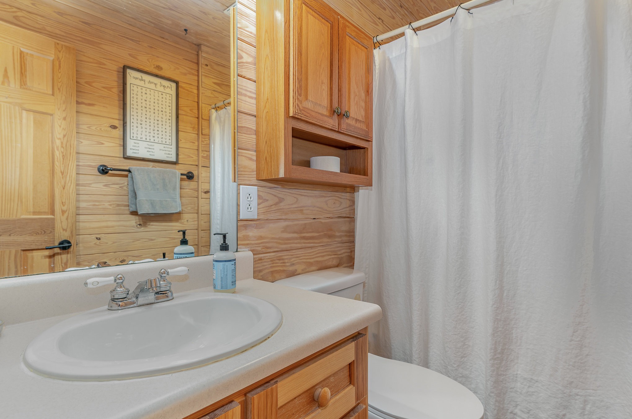 2065 Patterson Cemetery Road Chapel Hill, TN 37034 - Photo 23 of 39 a bathroom with a sink a toilet and shower curtain