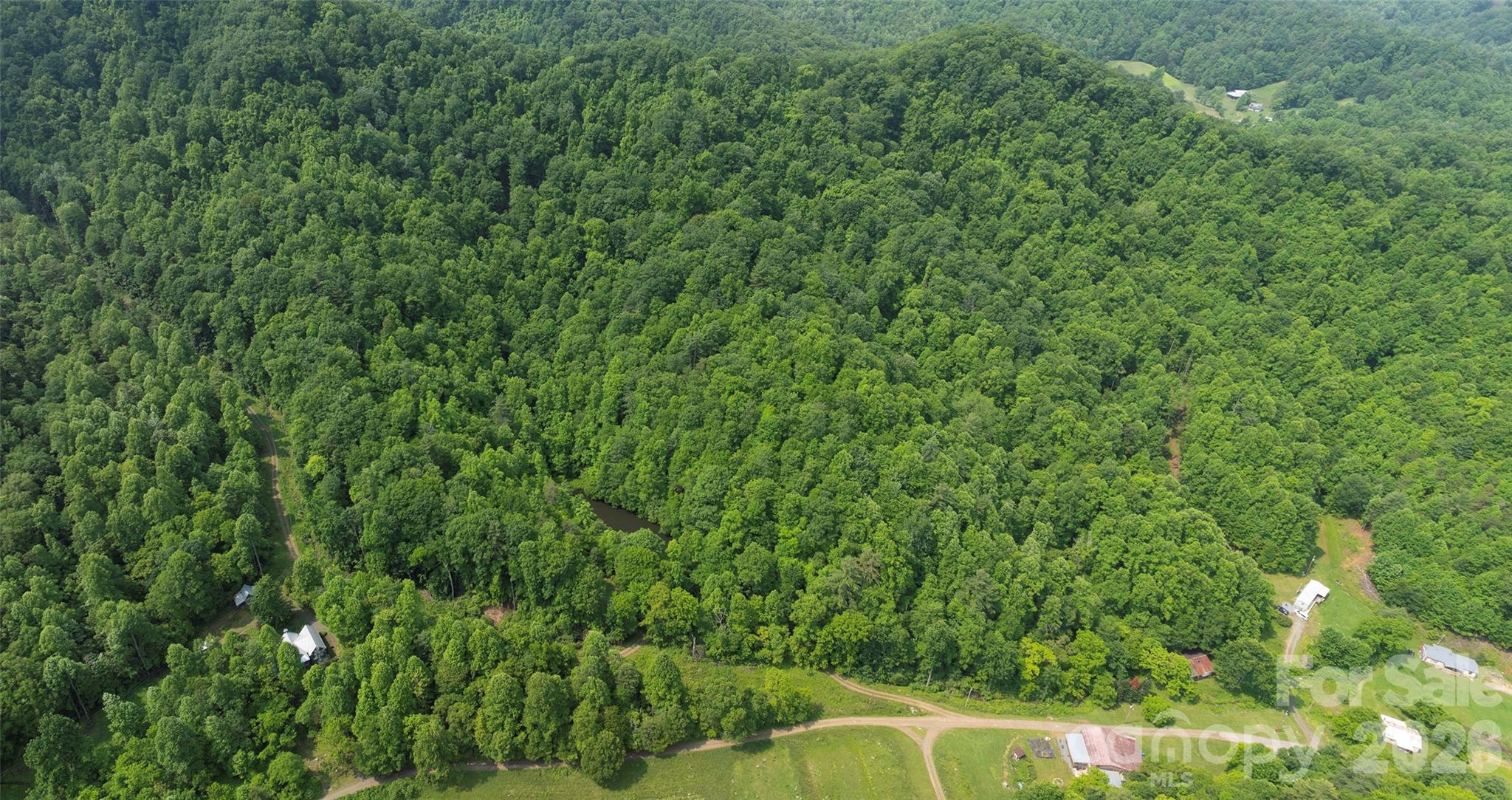 320 Board Tree Road Marshall, NC 28753 - Photo 11 of 13