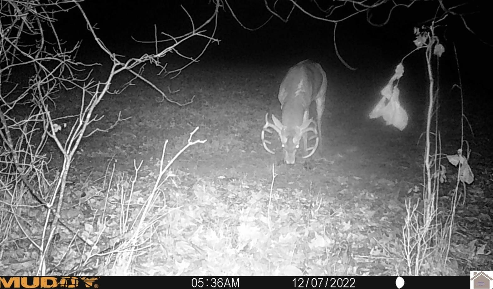 0 Corinth Church Road Grand Rivers, KY 42045 - Photo 43 of 49 Photo 43