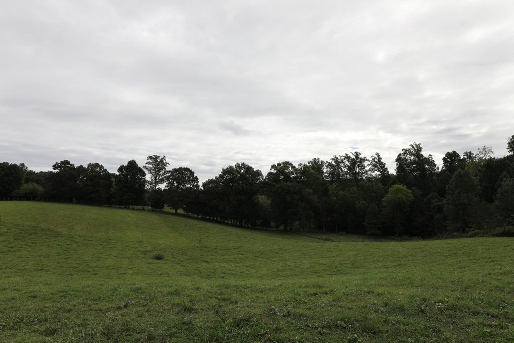 343 Gamble Road Madisonville, TN 37354 - Photo 13 of 36 Gallery Image 13