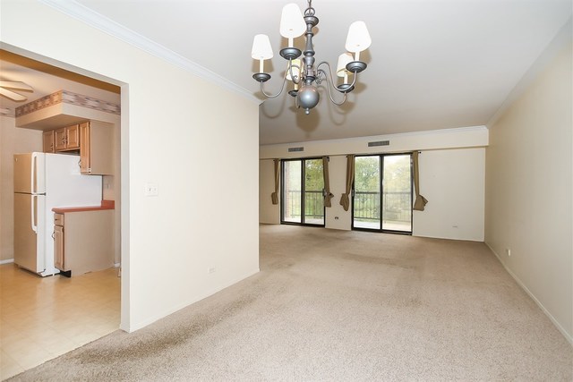 1605 East Central Road, Unit 318C Arlington Heights, IL 60005 - Photo 12 of 23