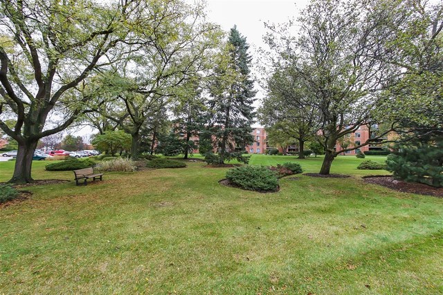 1605 East Central Road, Unit 318C Arlington Heights, IL 60005 - Photo 22 of 23