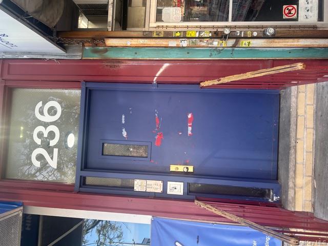 236 Utica Avenue, Unit 2F Brooklyn, NY 11213 - Photo 8 of 8 View of exterior entry