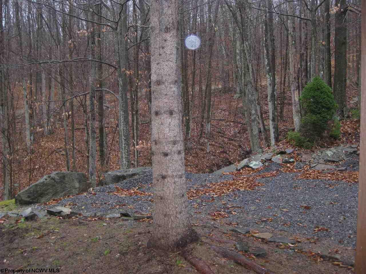 2233 Cabin Mountain Road Davis, WV 26260 - Photo 19 of 20 Gallery Image 19