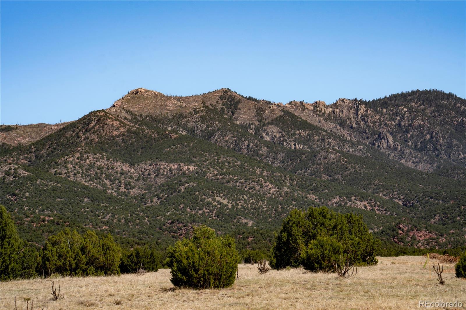 132 County Road Penrose, CO 81240 - Photo 3 of 10