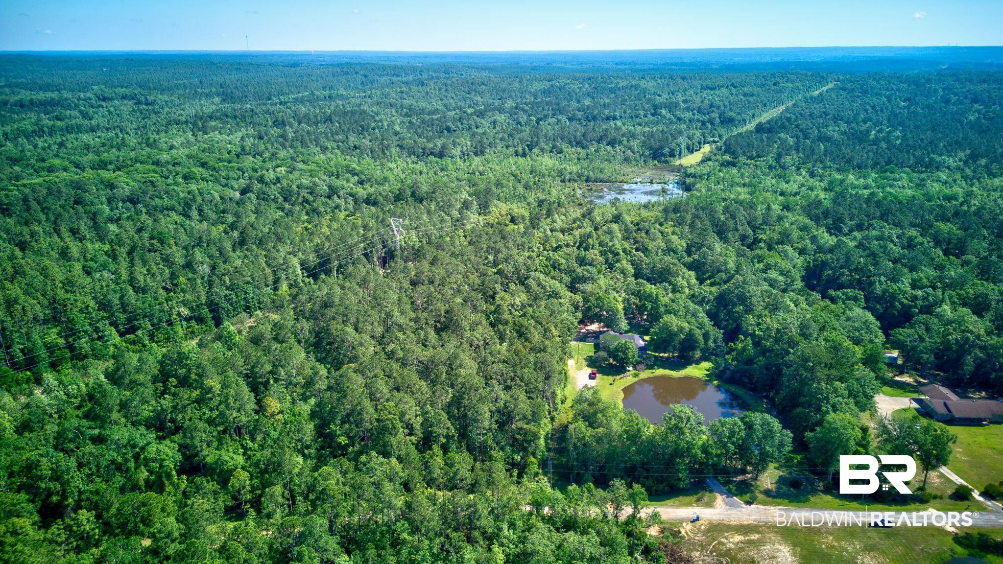 0 Evans Road Chunchula, AL 36521 - Photo 9 of 19
