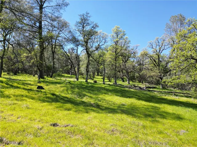 $50,000 | 0 Hidden Mine Road, Oroville, CA 95965