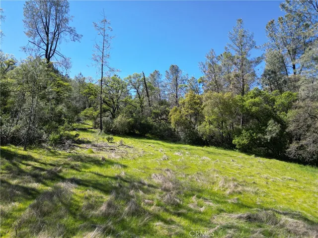 $50,000 | 0 Hidden Mine Road, Oroville, CA 95965