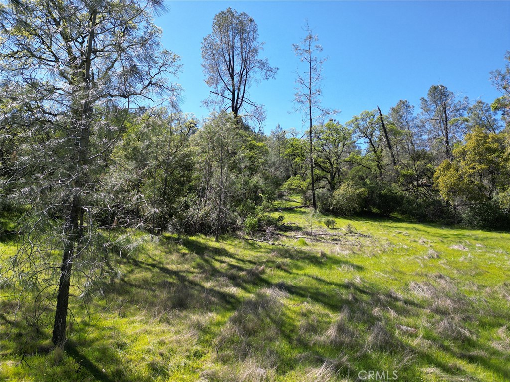 0 Hidden Mine Road Oroville, CA 95965 - Photo 4 of 14