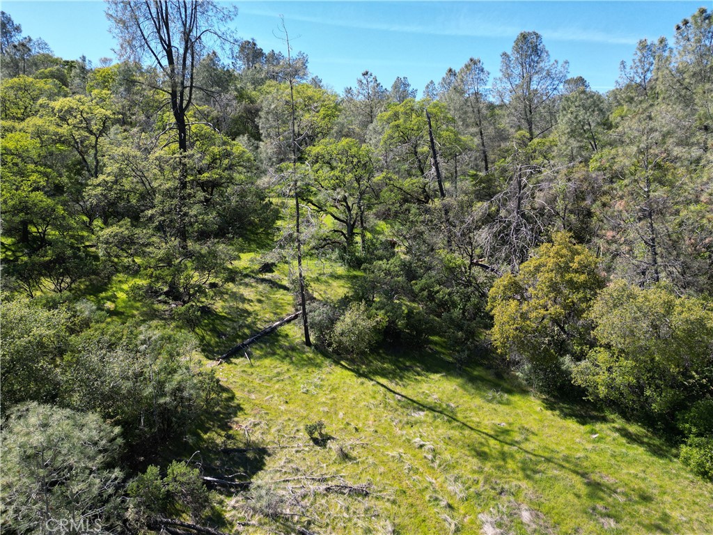 0 Hidden Mine Road Oroville, CA 95965 - Photo 8 of 14