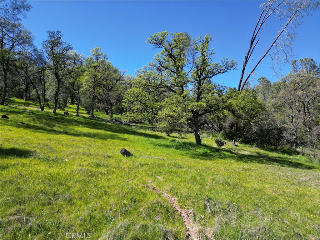 0 Hidden Mine Road Oroville, CA 95965 - Photo 9 of 14