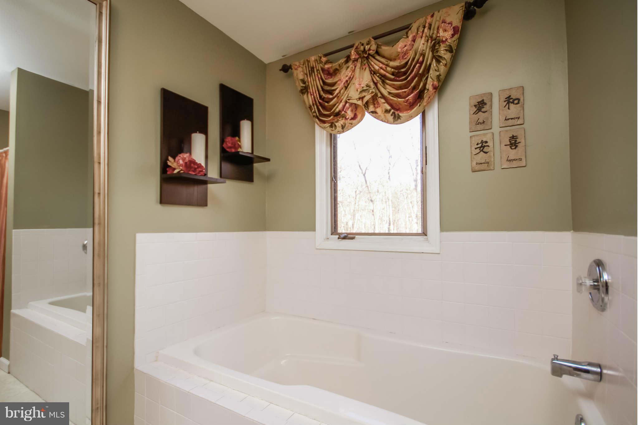 3462 Merrimac Road Davidsonville, MD 21035 - Photo 14 of 30 Bath (Master)